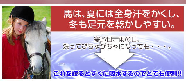 馬は、夏には全身汗をかくし、冬も足元を乾かしやすい。洗う所、蹄洗場(ていせんば)がびちゃびちゃになりがち。これを絞るとすぐに吸水するのでとても便利です。