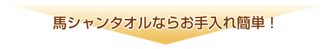 馬シャンタオルならお手入れ簡単!